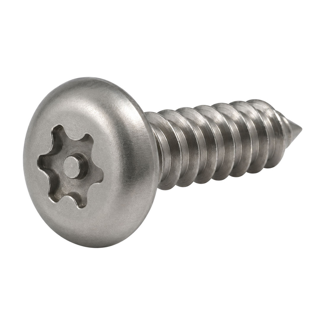 5.5 X 38 Six Lobe Pin Button Head Security Screw TX30 A2 Stainless Steel