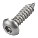 Pin hex button head security screw, A2 (304) stainless steel