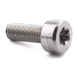 Socket cap screw with six lobe drive, ISO 14579, stainless steel