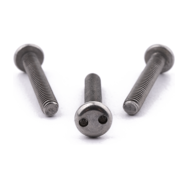 Pan head two-hole security screw, A2 (304) stainless steel