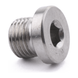 M10 X 1 Plug Pitch DIN 908 A4 Stainless Steel