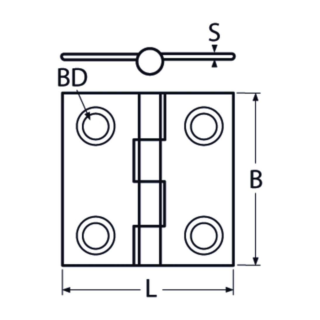 50 X 50 Button Hinge A4 Stainless Steel