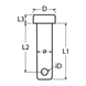 Clevis pin, A4 (316) stainless steel